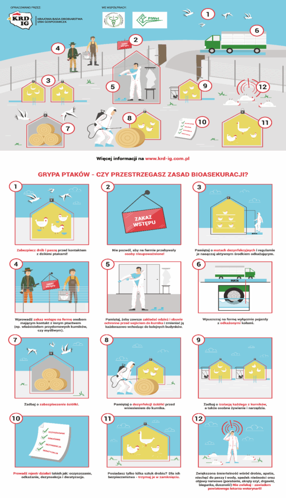 Ilustracja przedstawiająca 12 kroków zapobiegania grypie ptaków: 1) Zabezpieczenie przed kontaktem z dzikim ptactwem, 2) Zakaz wstępu na fermę, 3) Pamietaj o matach dezynfekcyjnych, 4) Wprowadź zakaz wstępu na fermę osobom postronnym, 5) Pamietaj o zabezpieczeniu odzieży ochronnej, 6) Używaj mat dezynfekcyjnych przy wjeździe, 7) Zadbać o zabezpieczenie stoisk, 8) Pamietaj o dezynfekcji narzędzi, 9) Zadbać o izolację klatek, 10) Prowadź rejestr działań, 11) Posiadaj sprzęt do dezynfekcji, 12) Zorganizuj współpracę z weterynarzem. Logo KRD-IG, PIWet i więcej informacji na www.krd-ig.com.pl.