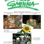 Wieść Gminna z Chmielnika - numer 3 z 2011 r. do pobrania w formacie PDF