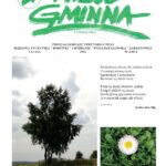 Wieść Gminna z Chmielnika - numer 2 z 2012 r. do pobrania w formacie PDF