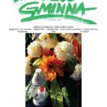Wieść Gminna z Chmielnika - numer 3 z 2016 r. do pobrania w formacie PDF
