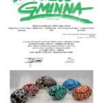 Wieść Gminna z Chmielnika - numer 1 z 2019 r. do pobrania w formacie PDF