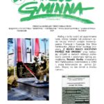 Wieść Gminna z Chmielnika - numer 3 z 2019 r. do pobrania w formacie PDF