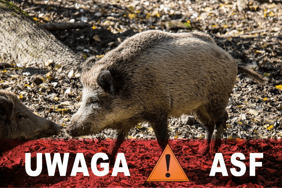 Grafika wprowadzająca - komunikat ASF